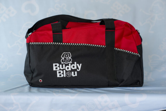 Two-Toned Buddy Bleu Sports Duffle Bag - Image 10