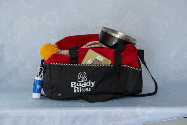 Two-Toned Buddy Bleu Sports Duffle Bag - Image 9