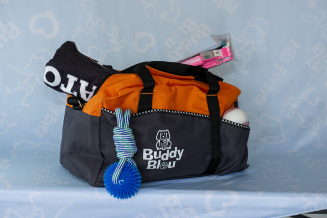 Two-Toned Buddy Bleu Sports Duffle Bag - Image 4