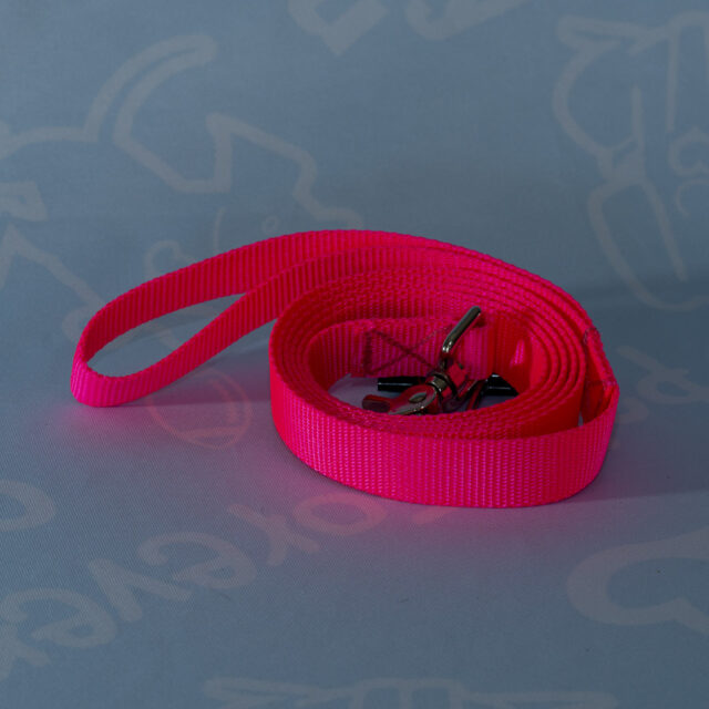 Nylon Leashes - Image 3