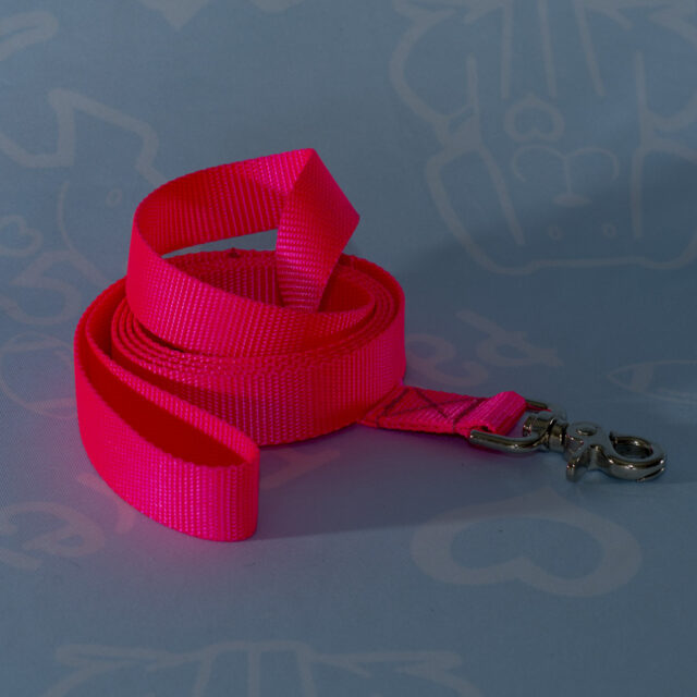 Nylon Leashes - Image 6