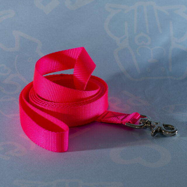 Nylon Leashes - Image 4