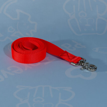 Nylon Leashes