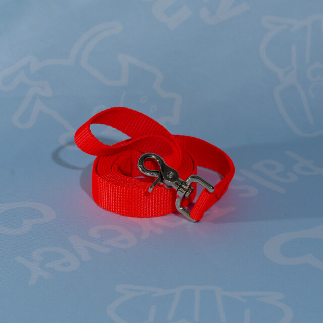 Nylon Leashes - Image 5
