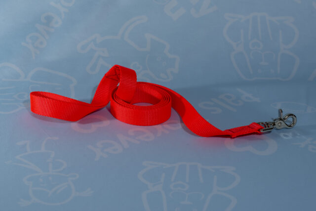 Nylon Leashes - Image 2