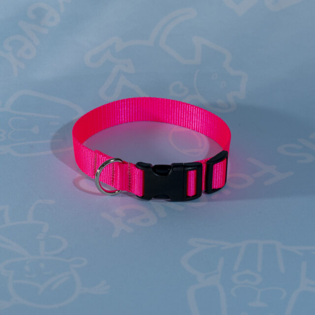Nylon Collars - Image 2