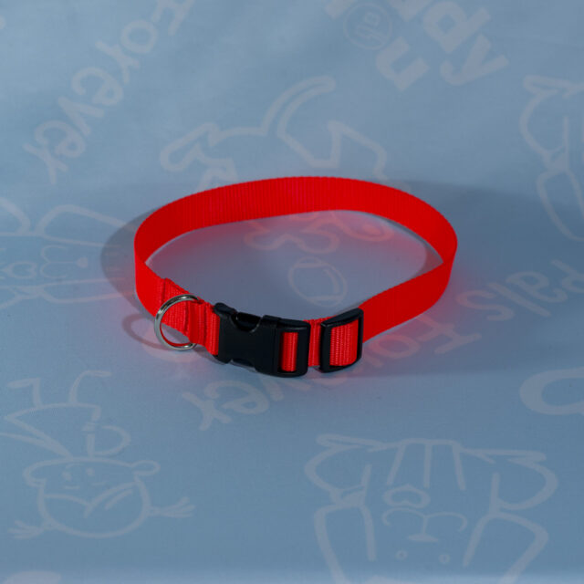 Nylon Collars