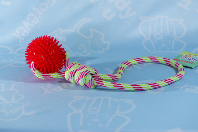 16" Rope with Ball Tug Toy - Image 4