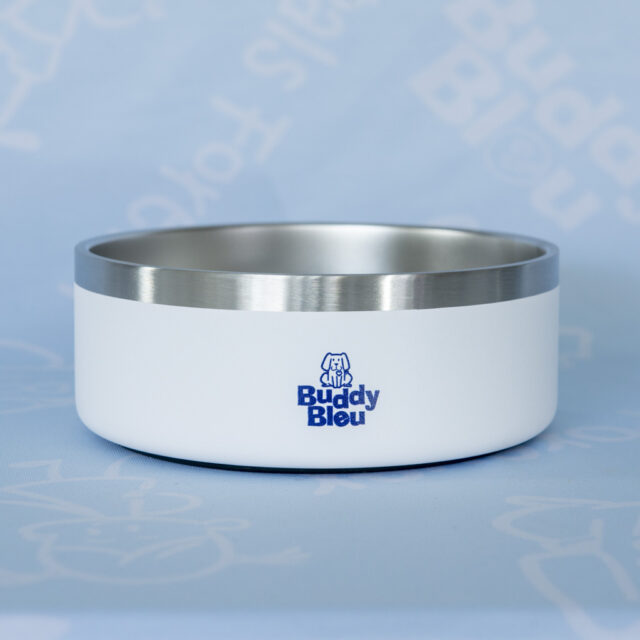 Buddy Blue 40 oz. Stainless Steel Pet Bowl