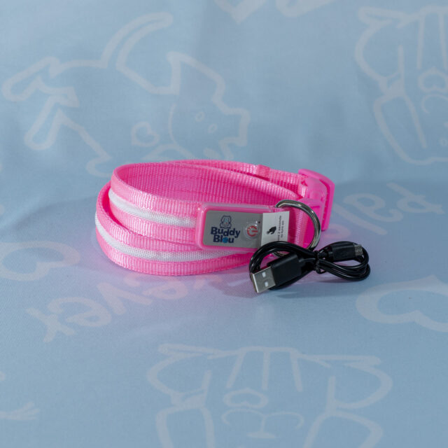 Buddy Bleu LED Collar and Leash Set - Image 6