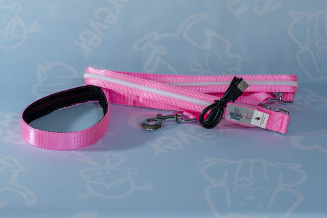 Buddy Bleu LED Collar and Leash Set - Image 4