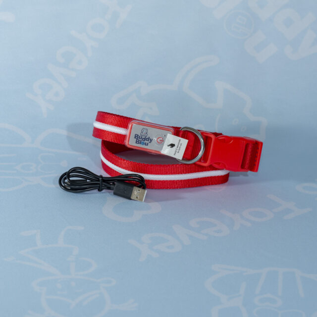 Buddy Bleu LED Collar and Leash Set - Image 5