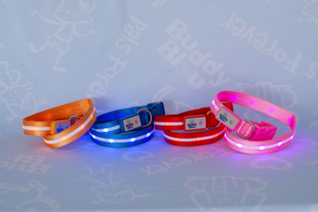 Buddy Bleu LED Collar and Leash Set - Image 3