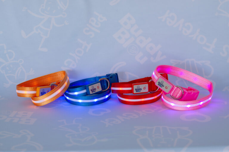 Buddy Bleu LED Collar and Leash Set - Image 3