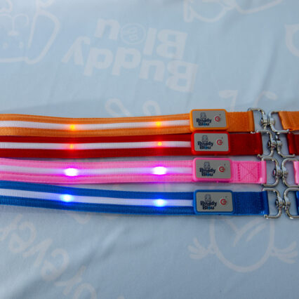 Buddy Bleu LED Collar and Leash Set