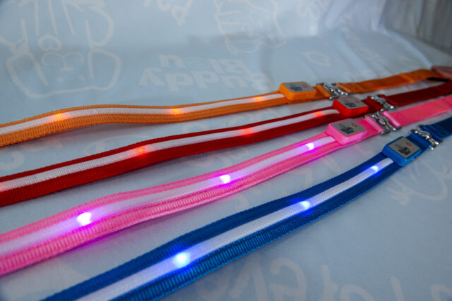 Buddy Bleu LED Collar and Leash Set - Image 2