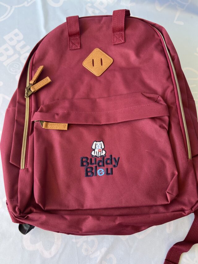 Buddy Bleu Back to School Double Handle Laptop BackPack - Image 3