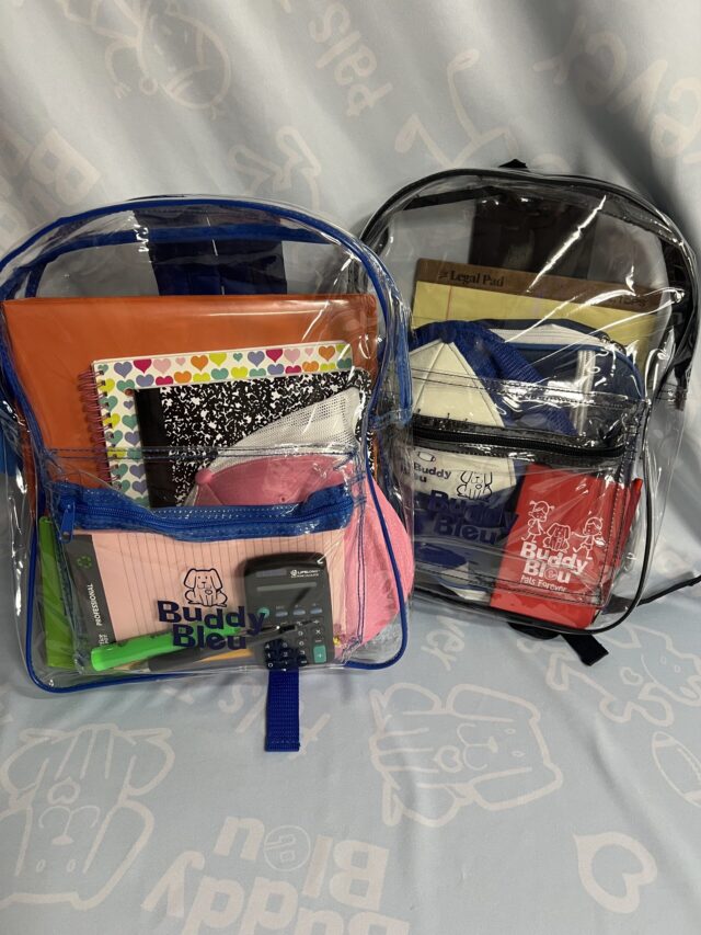 Buddy Bleu Clear 17" Backpack
