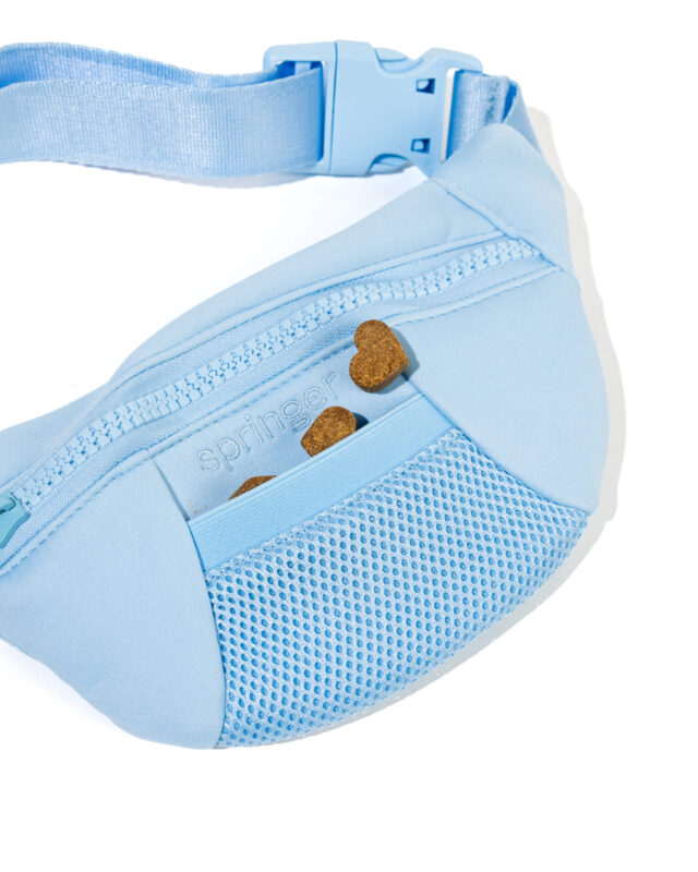 Buddy Bleu Sling Bag Fanny Pack/Matching Leash - Image 3