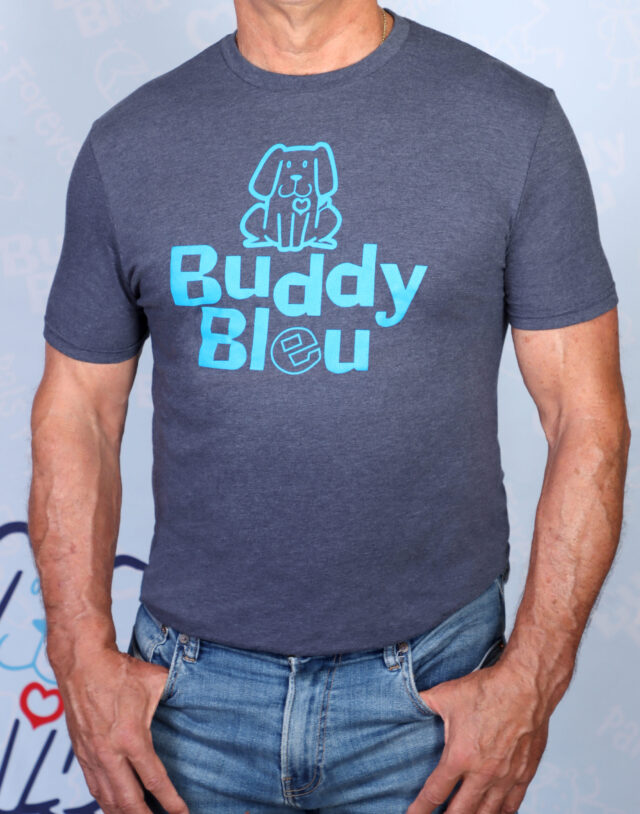 Men's District Perfect Blend T-Shirt