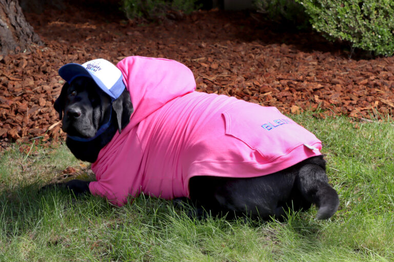 Buddy Bleu Pup Hooded Sweatshirts