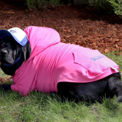 Buddy Bleu Pup Hooded Sweatshirts