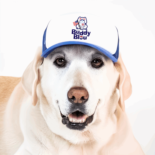Buddy Bleu July 4th Trucker Pup Lids - Image 5