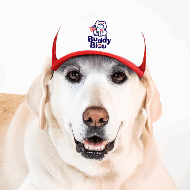 Buddy Bleu July 4th Trucker Pup Lids - Image 4