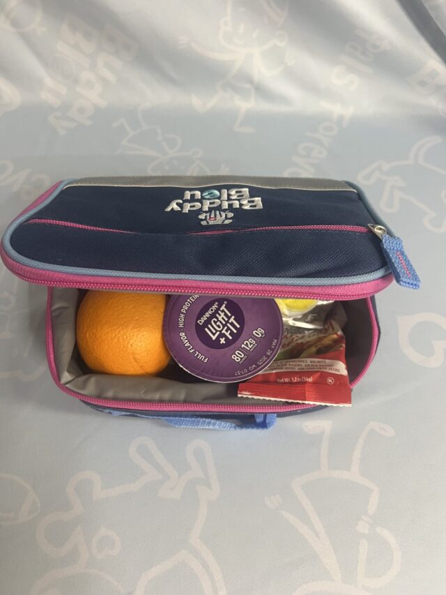 Buddy Bleu Lunch Bags with Reflective Strap - Image 3