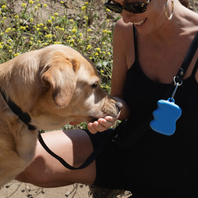 Buddy Bleu Flip Travel Water Bottle and Treat Dispenser Set - Image 14
