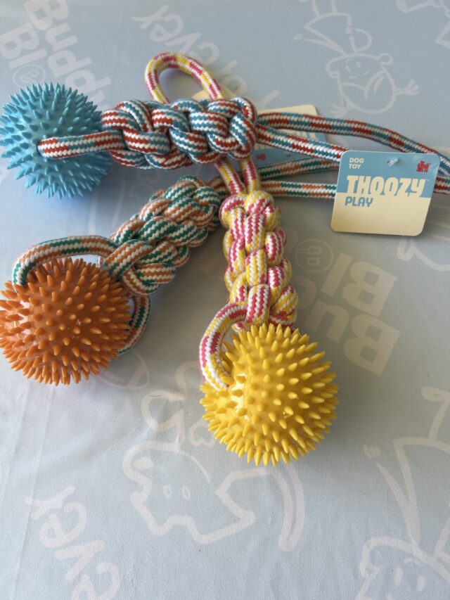 Thoozy Pet Knotted 16 " Tug Rope Toy