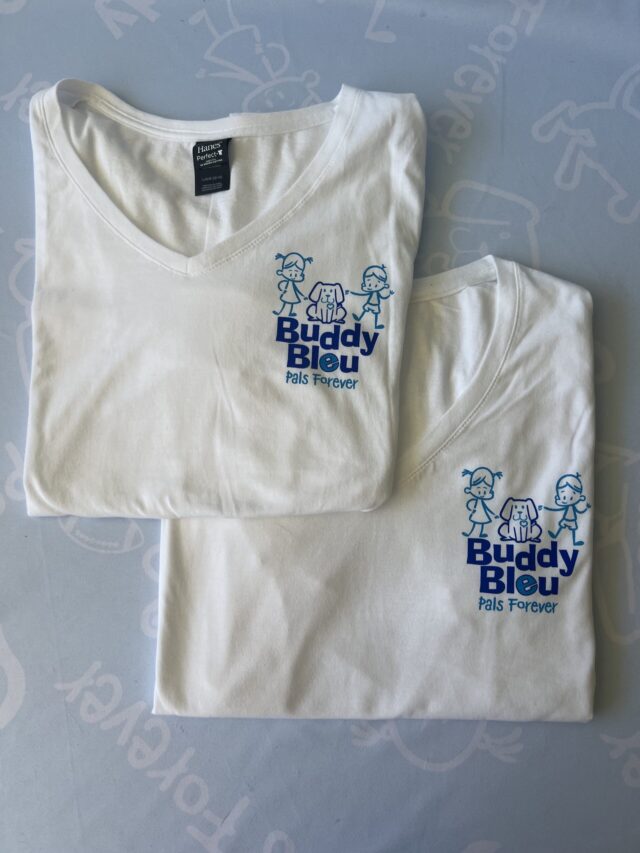 Women's Hanes Perfect Blend V-Neck T-Shirts - Image 9