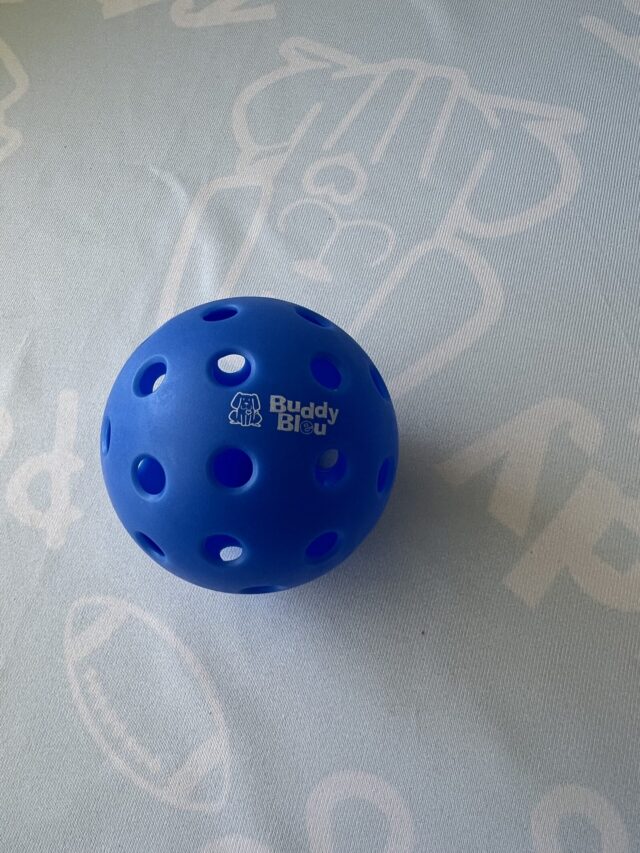 Buddy Bleu Pickle Balls - 2pack - Image 4