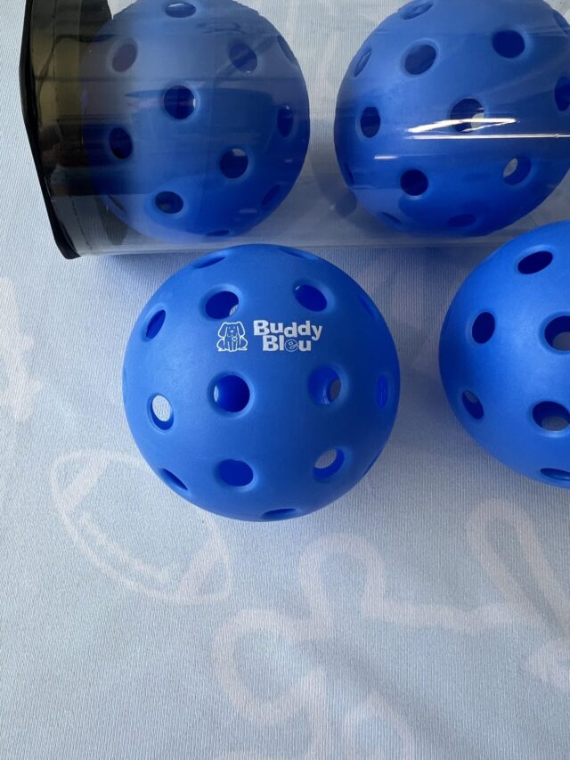 Buddy Bleu Pickle Balls - 2pack
