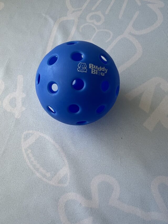 Buddy Bleu Pickle Balls - 2pack - Image 3