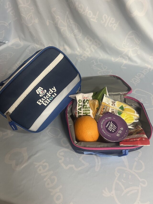 Buddy Bleu Lunch Bags with Reflective Strap - Image 2
