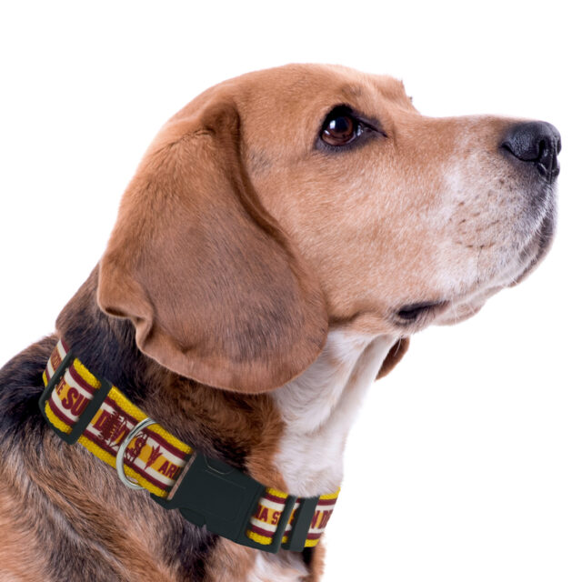 Arizona State Satin Collar - Image 3