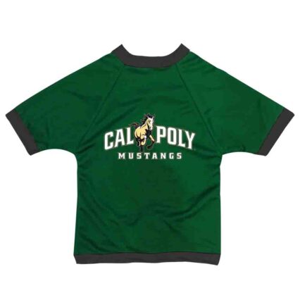 CalPoly Collegaite Mesh Pet Jersey Style 2