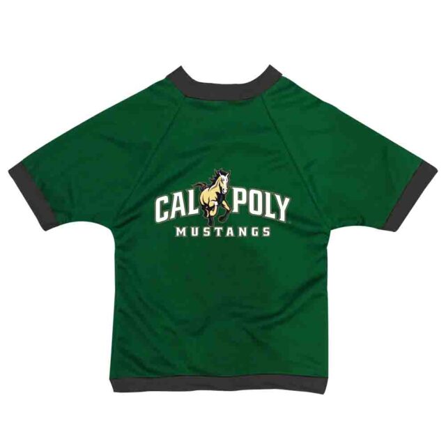 CalPoly Collegaite Mesh Pet Jersey Style 2