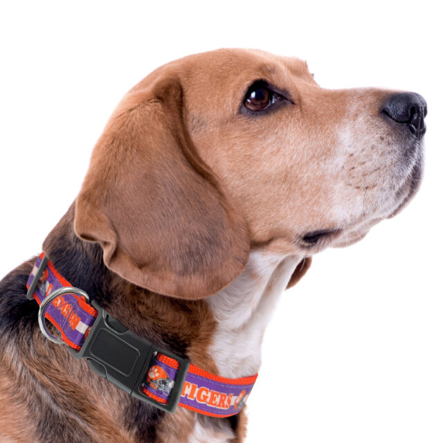Clemson Satin Collar - Image 4