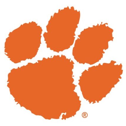 Clemson Satin Leash