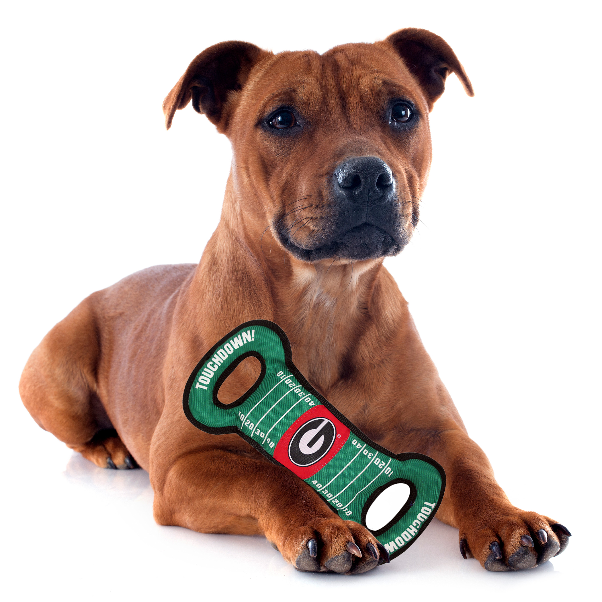 Georgia Football Field Tug Toy - Image 2