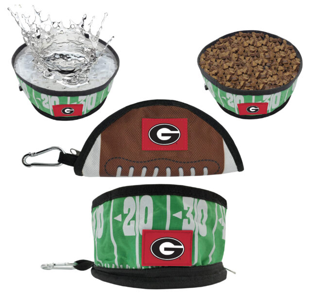 Georgia Collapsible Bowl