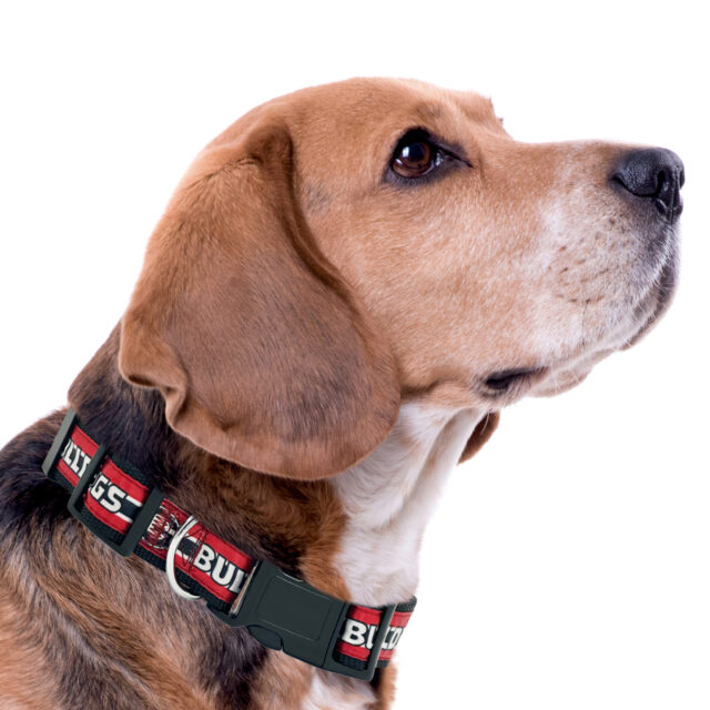 Georgia Satin Collar - Image 4