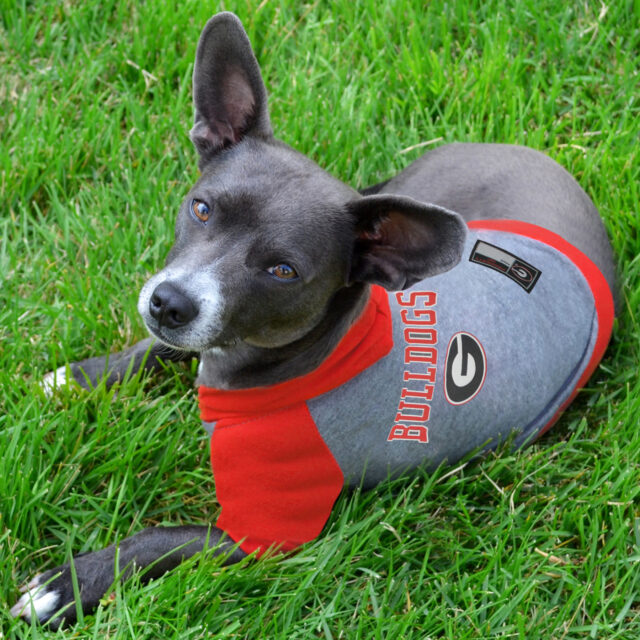 Georgia Pet Hoodie Tee Shirt - Image 2