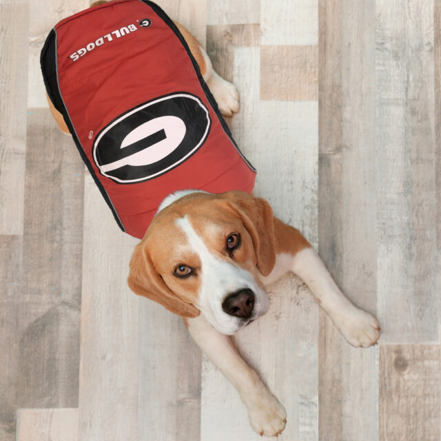Georgia Puffer Vest - Image 2