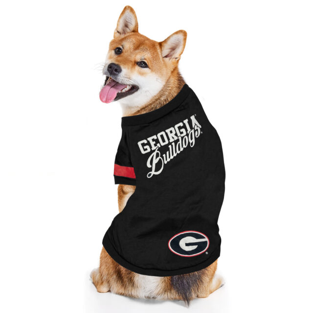 Georgia Striped Tee Shirt - Image 2