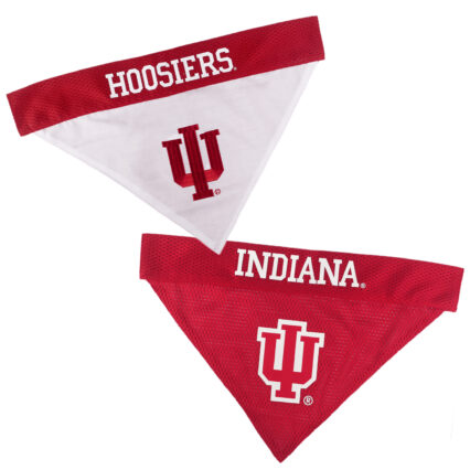Indiana Reversible Pet Bandana Style 1