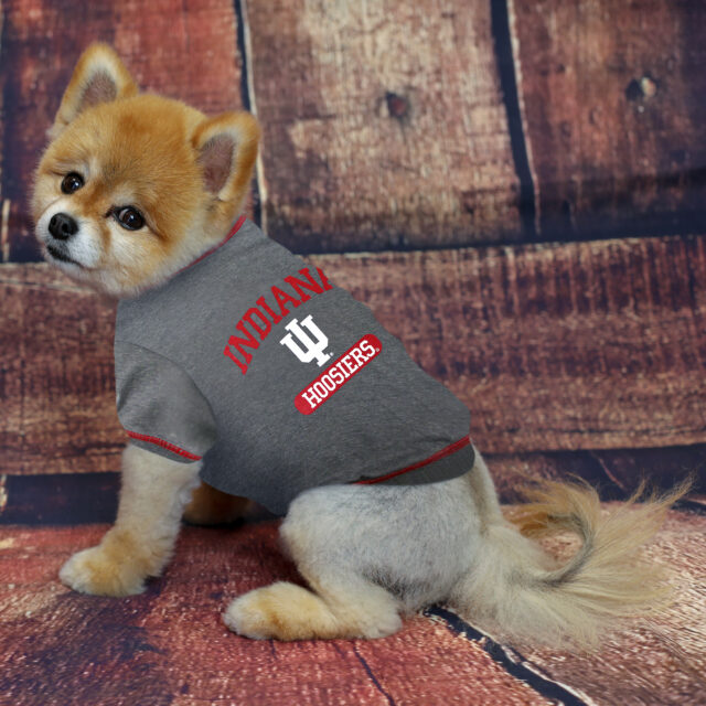 Indiana Tee Shirt - Image 2