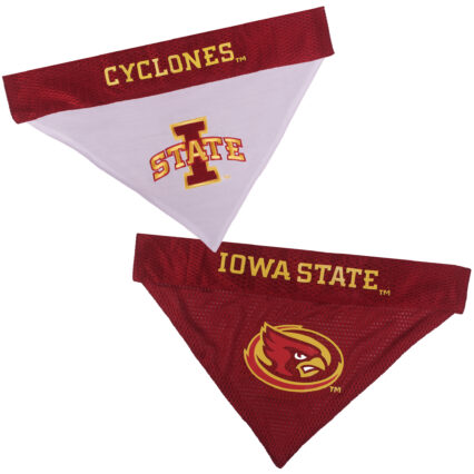 Iowa State Reversible Bandana Style 1
